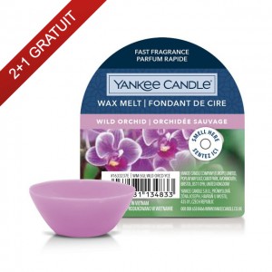 Ceara Parfumata Wild Orchid, Yankee Candle